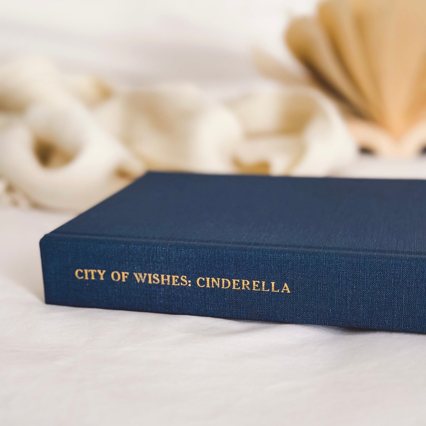 City of Wishes: The Complete Cinderella Story HARDBACK